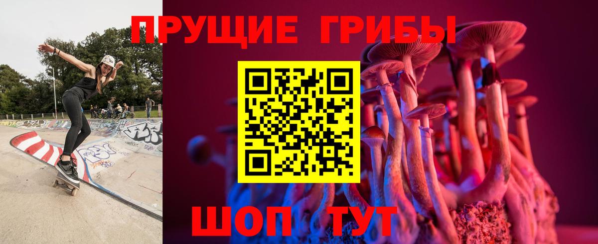 Псилоцибиновые грибы прущие грибы  Галлюциногенные грибы мицелий  Вход с VPN  Стерлитамак 